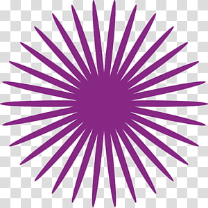 300x299 Business Company Management Chief Executive Research, Red Circle