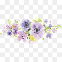 Hand Painted Watercolor Purple Romantic Flowers, Vector 260x260 Hand Painted Watercolor Purple Romantic Flowers, Vector