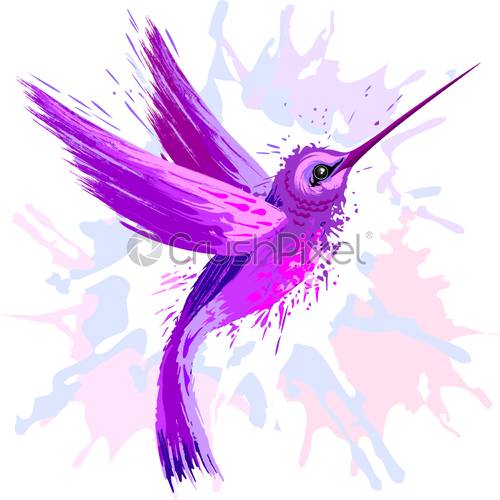Hummingbird Spirit Pink And Purple Watercolor Vector Illustration 500x500 Hummingbird Spirit Pink And Purple Watercolor Vector Illustration