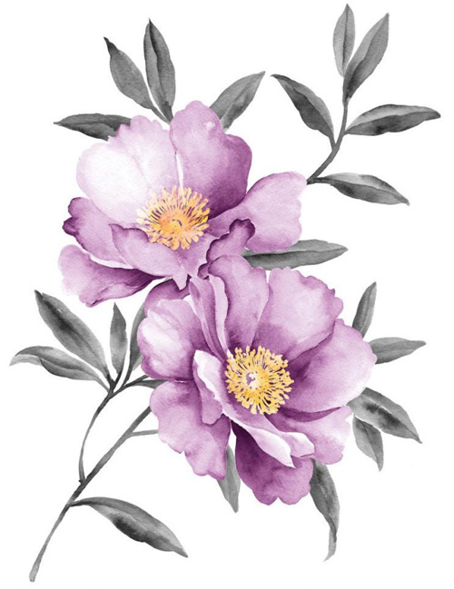 Purple Peony Watercolor Vector Free Download 500x649 Purple Peony Watercolor Vector Free Download