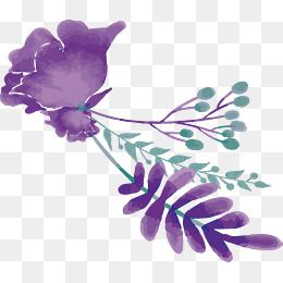 Vector Flower Purple Watercolor Flower Title Box, Watercolor 260x260 Vector Flower Purple Watercolor Flower Title Box, Watercolor