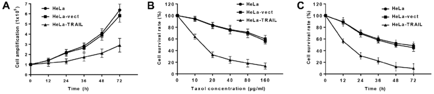 850x185 Suppression Of Hela Cells Transfected With Pvector Or Ptrail