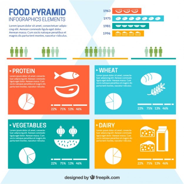 Food Pyramid Infographic Free Vector 626x626 Food Pyramid Infographic Free Vector