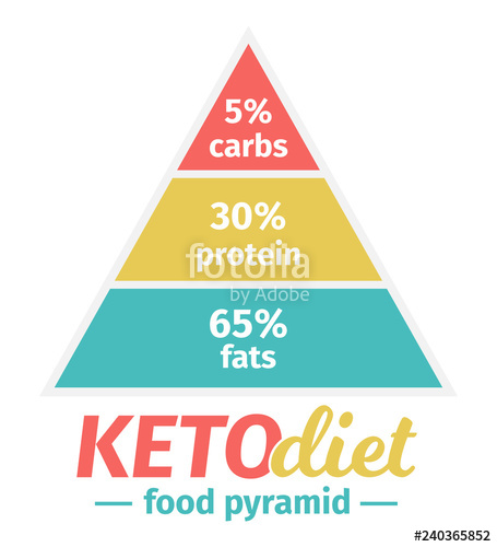 455x500 The Ketogenic Diet Food Pyramid Vector Illustration Infographic