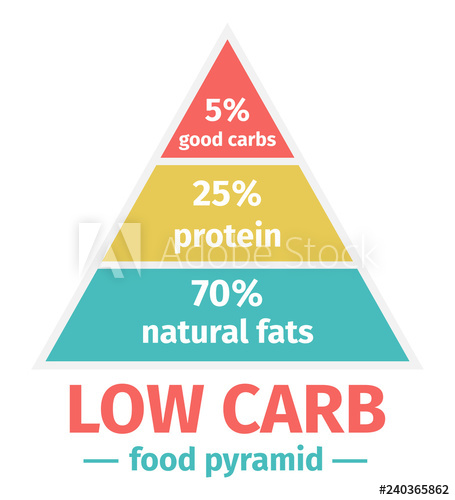 455x500 The Low Carb Diet Food Pyramid Vector Illustration Infographic