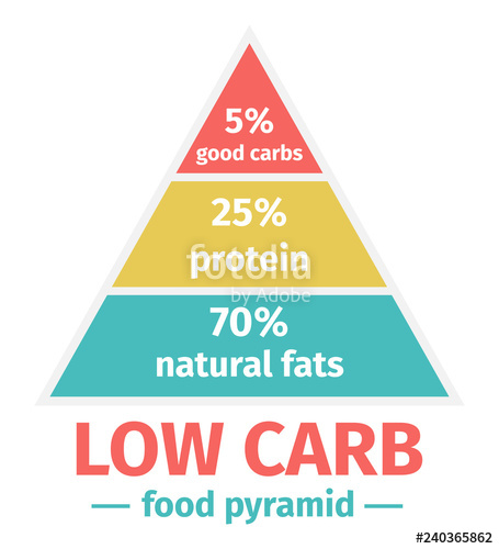 455x500 The Low Carb Diet Food Pyramid Vector Illustration Infographic