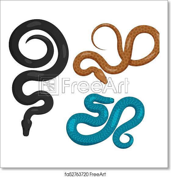 561x581 Free Art Print Of Slither Snakes Top View Vector Icons Set Curved