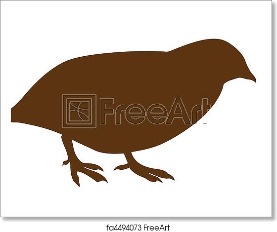 560x470 Free Art Print Of Vector Silhouette Of The Quail On White