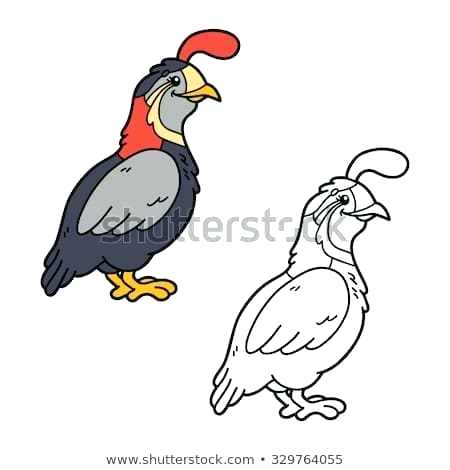 450x470 Quail Coloring