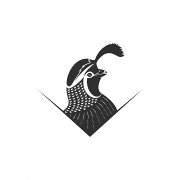 360x360 Quail Png Images Vector And Free Download