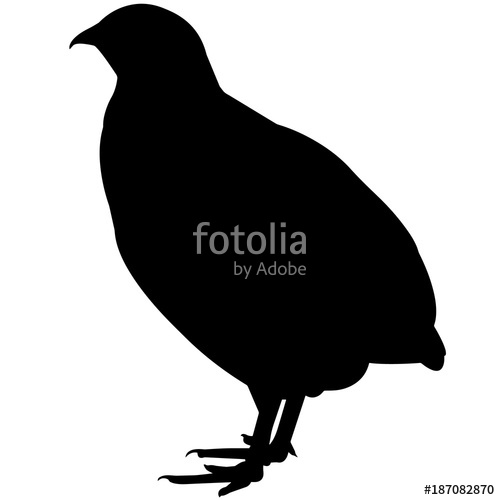 500x500 Quail Silhouette Vector Graphics Stock Image And Royalty Free