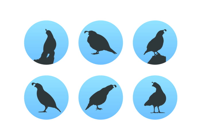700x490 Quail Silhouettes Free Vector Pack Free