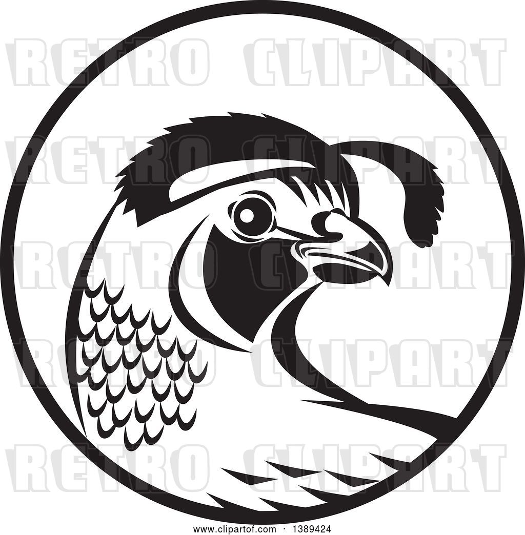 1024x1044 Vector Clip Art Of Retro Quail Bird In A Circle