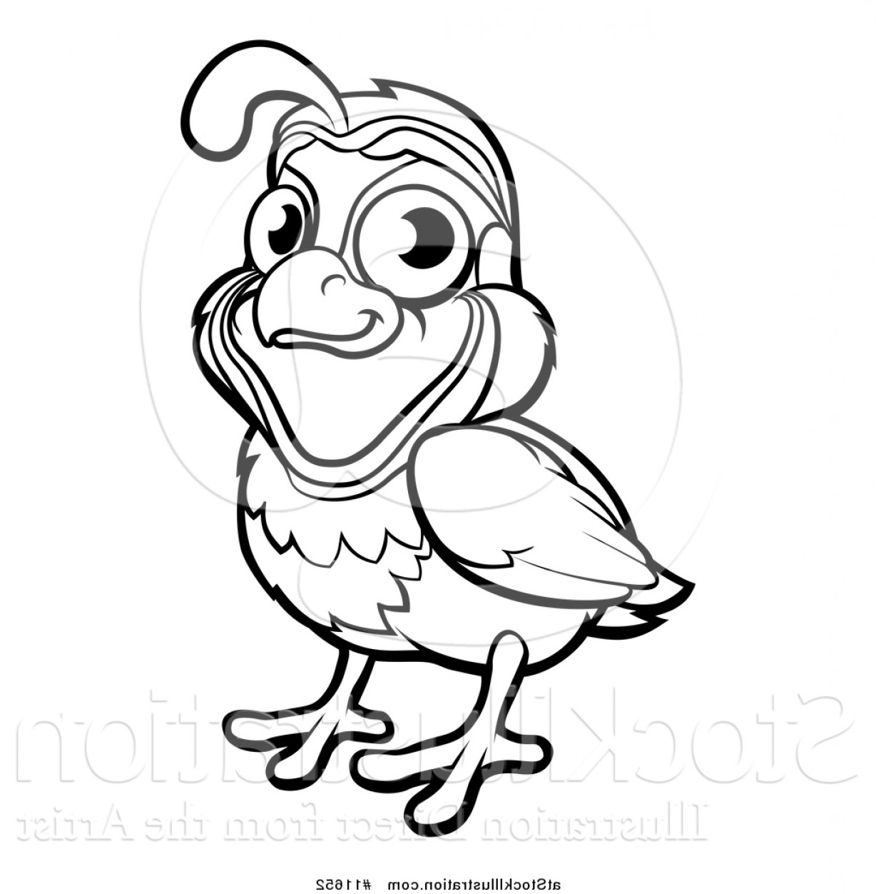 1228x1252 Vector Illustration Of A Black And White Quail Bird