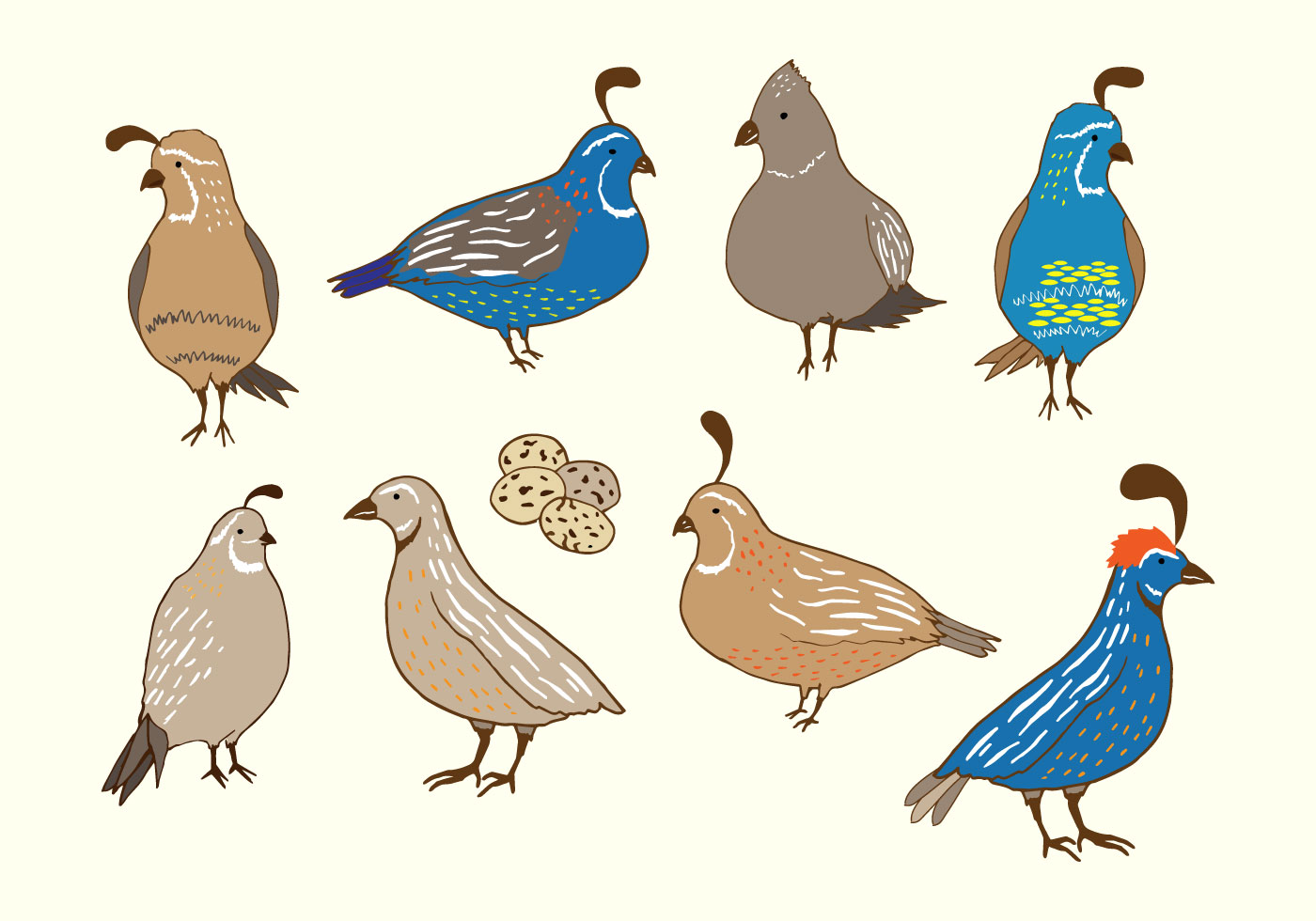 1400x980 California Quail Free Vector Art