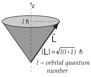 301x254 Vector Model Of Angular Momentum