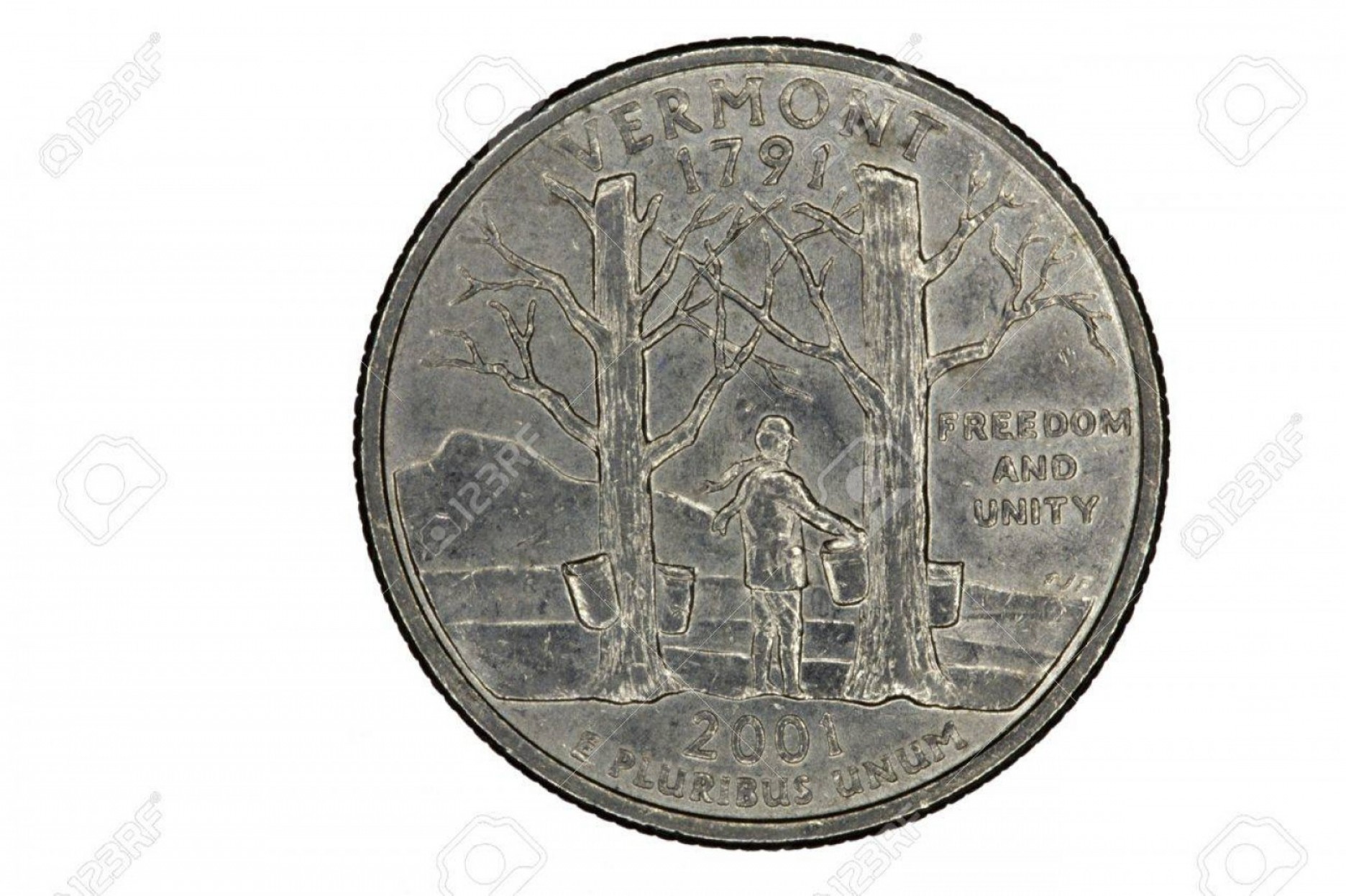 1872x1246 Photocloseup Of Vermont Quarter Coin Tail Side Maple Tree