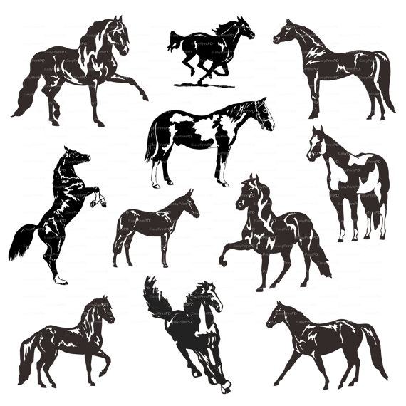 570x570 Horse Clipart Vector For Free Download And Use Images