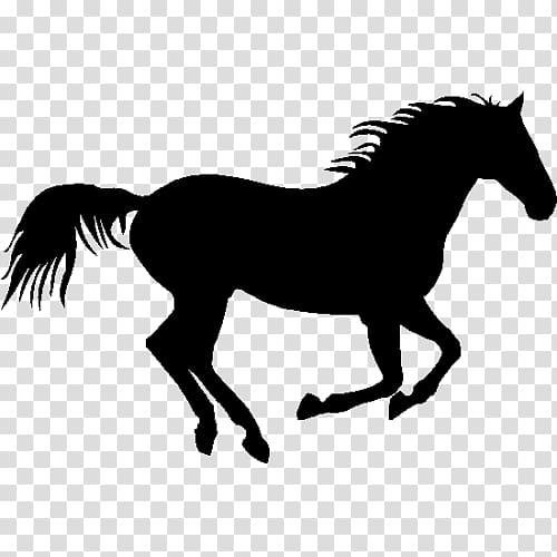 500x500 American Quarter Horse Pony Foal Wall Decal, Plaque Transparent