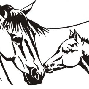 300x300 Horse Head Quarter Horse Clip Art Picture Vectory