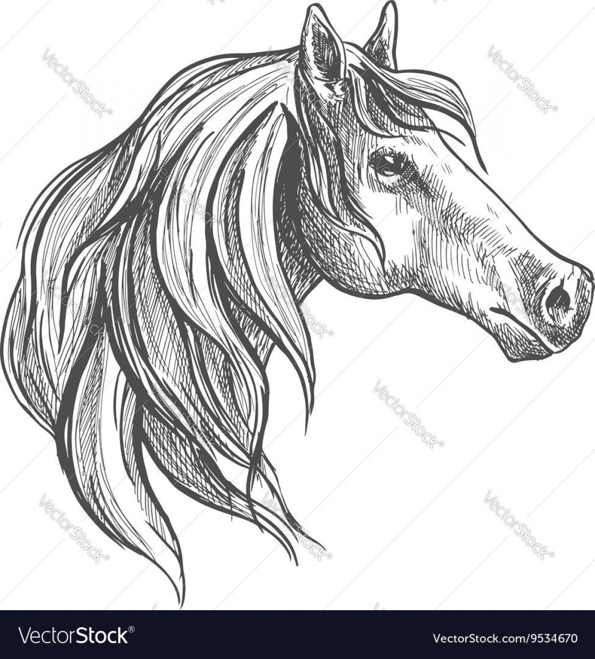 1172x1296 Quarter Horse Head Vector Studiogrfx
