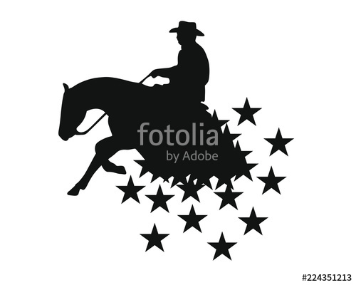 500x400 Sliding Stop Reining