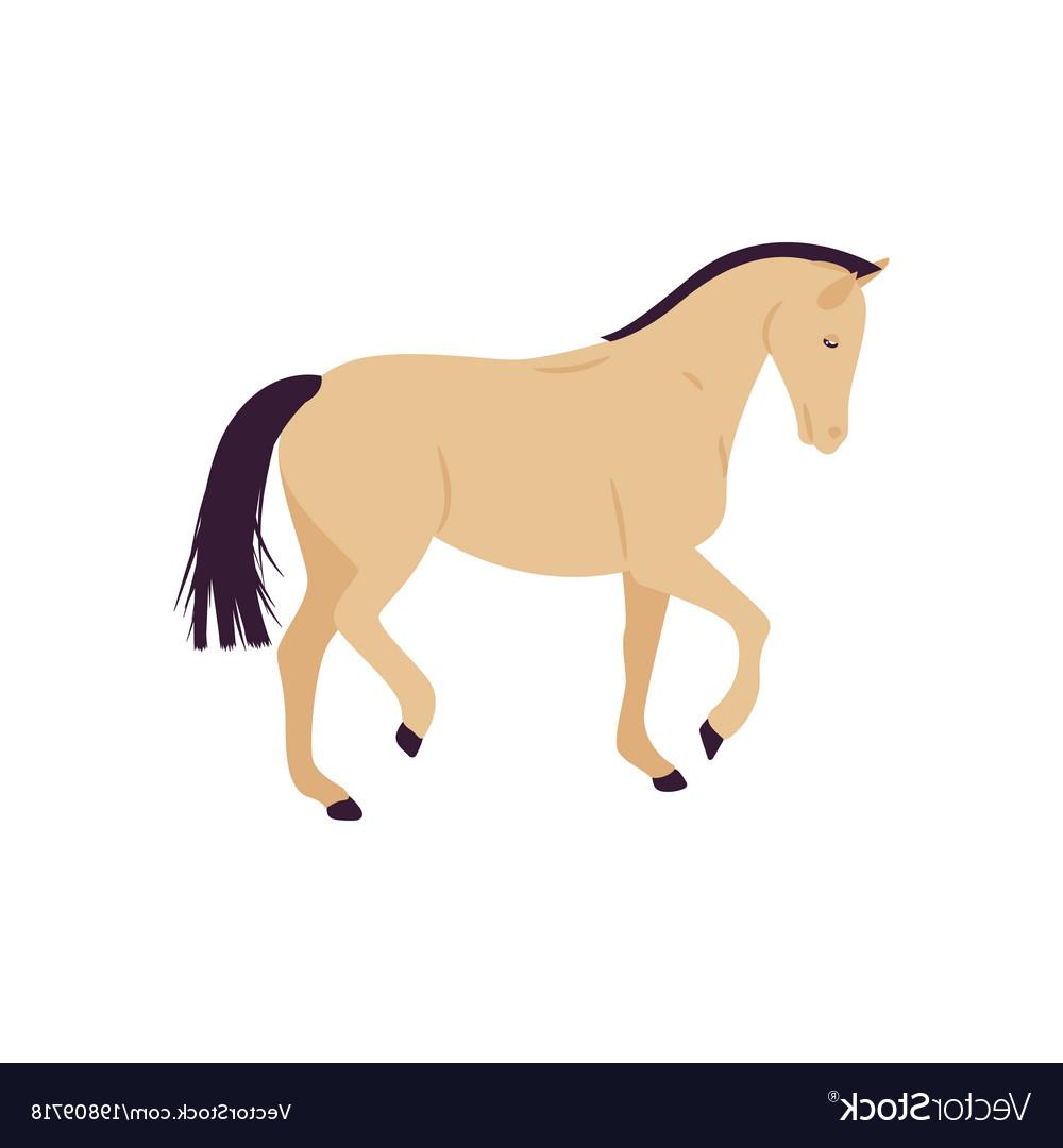 1000x1080 Best Hd Quarter Horse Vector Image Free Vector Art, Images