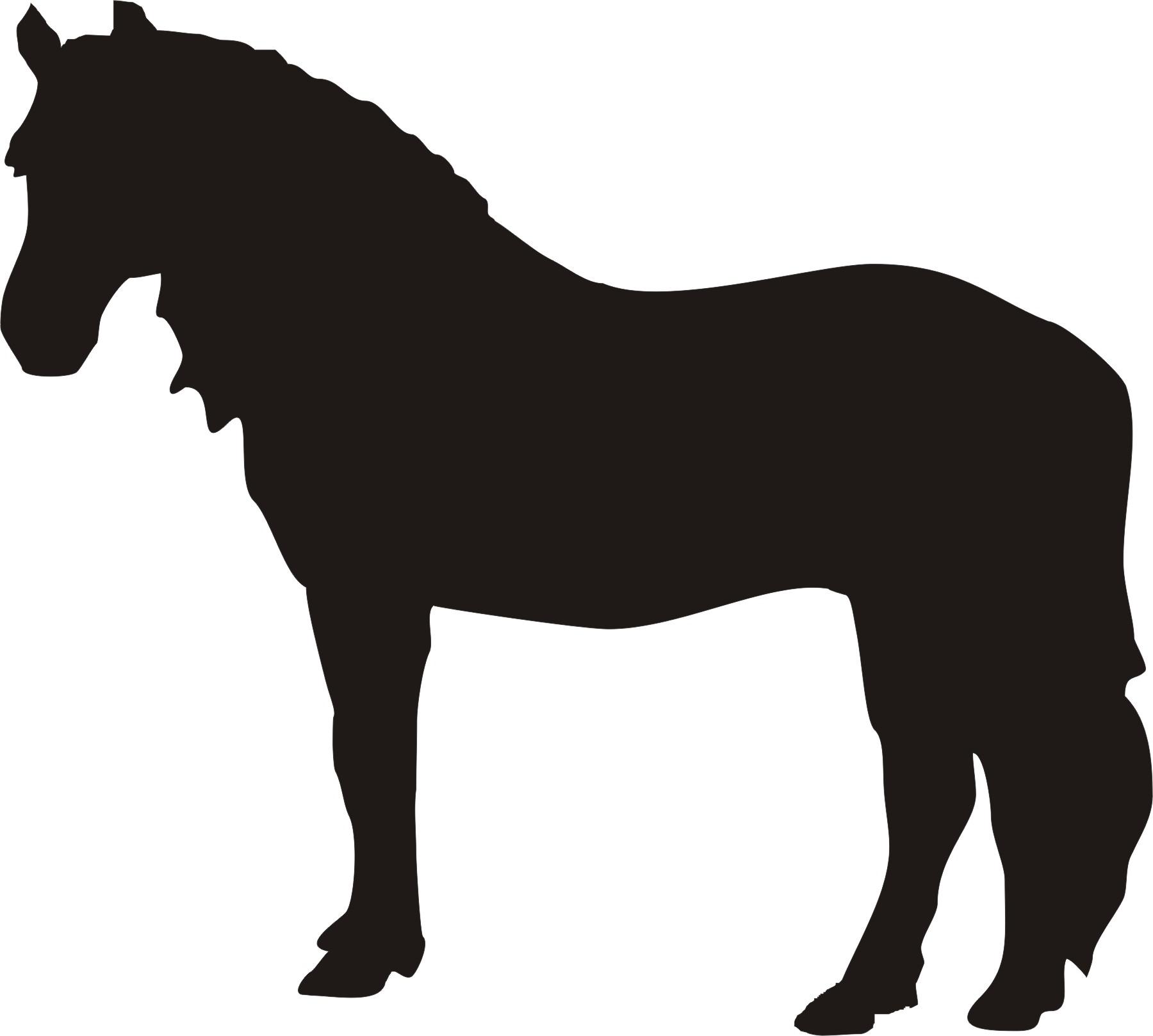 1800x1618 Best Hd Running Quarter Horse Head Vector Free Free Vector