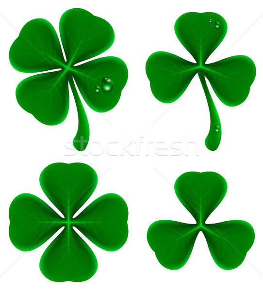 542x600 Set Of Green Leaves Of Clover Shamrock And Quatrefoil Vector