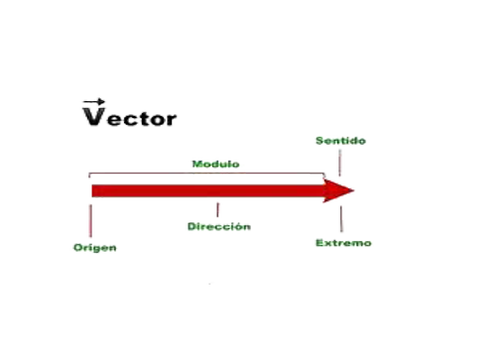 500x363 Fisicaalmaximo