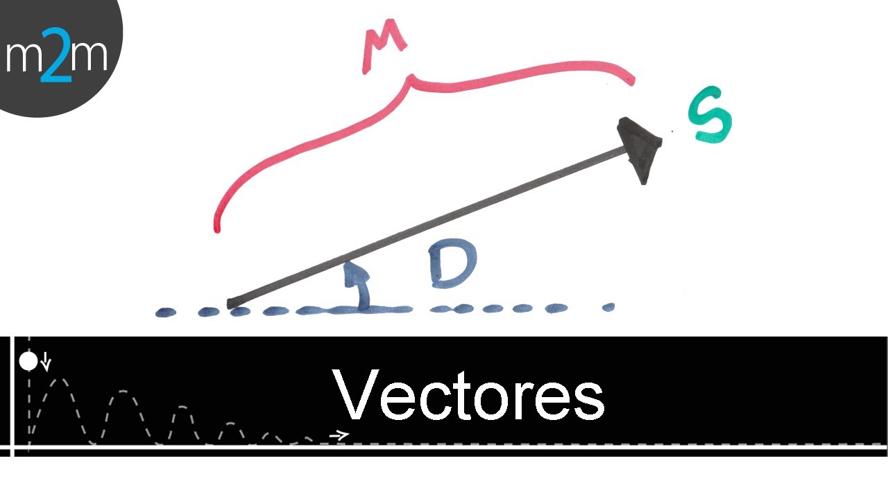 1280x720 Que Es Un Vector
