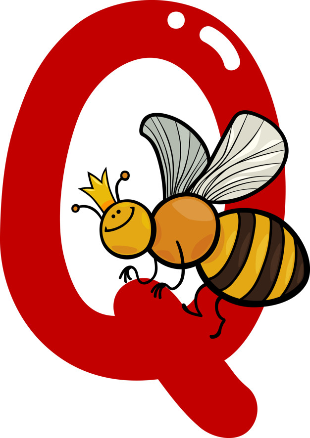 Q For Queen Bee Vector Premium Download 626x886 Q For Queen Bee Vector Premium Download