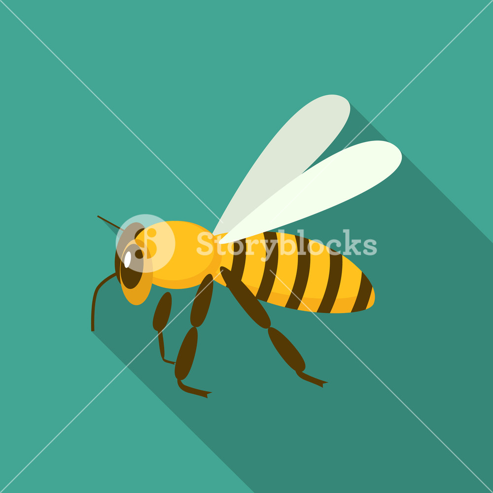 Queen Bee Icon Flat Illustration Of Queen Bee Vector Icon For Web 1000x1000 Queen Bee Icon Flat Illustration Of Queen Bee Vector Icon For Web