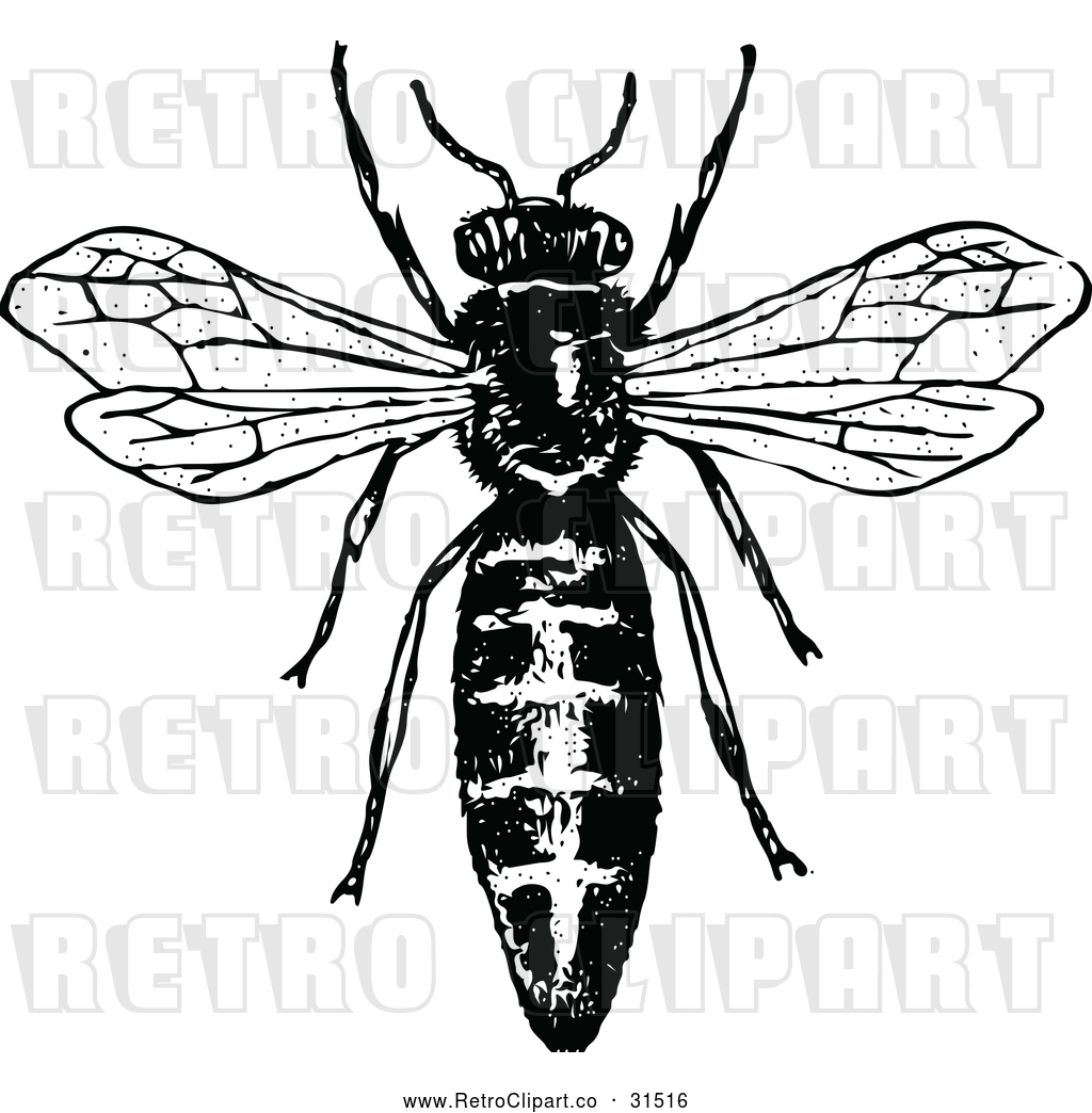 Vector Clip Art Of Retro Queen Bee 1024x1044 Vector Clip Art Of Retro Queen Bee