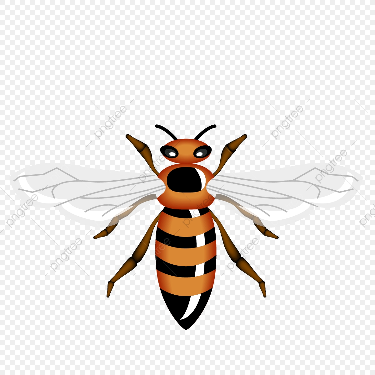Queen Bee, Png, Bee, Queen Png And Vector With Transparent 1200x1200 Queen Bee, Png, Bee, Queen Png And Vector With Transparent