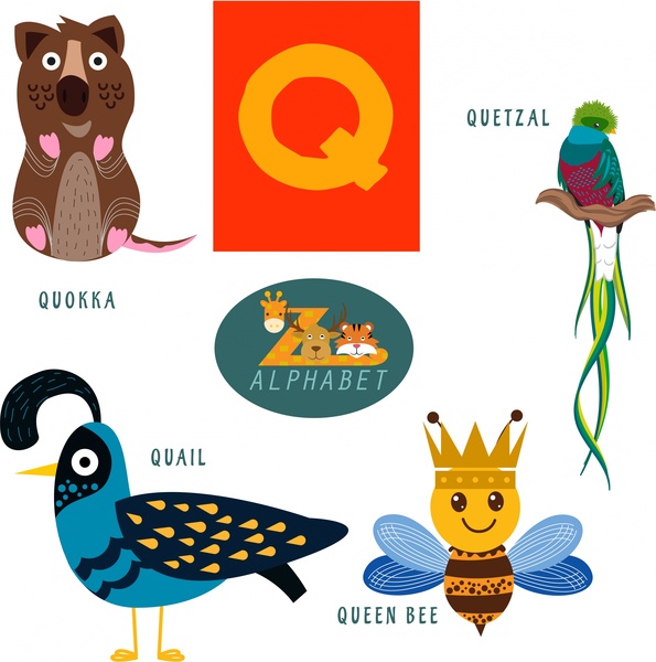 595x600 Quetzal Vector Free Vector Download