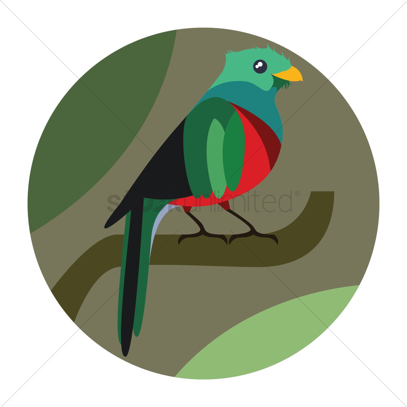 1300x1300 Resplendent Quetzal Vector Image