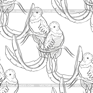 300x300 Seamless Pattern Resplendent Quetzal Bird Male