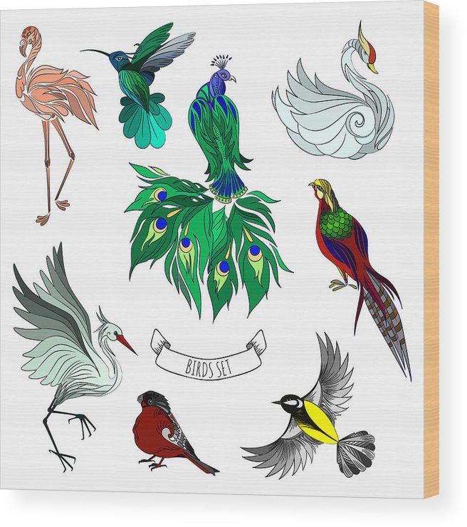 656x740 Set Of Beautiful Decorative Hand Drawn Birds, Vector Illustration