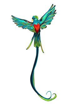 236x332 Quetzal Vector