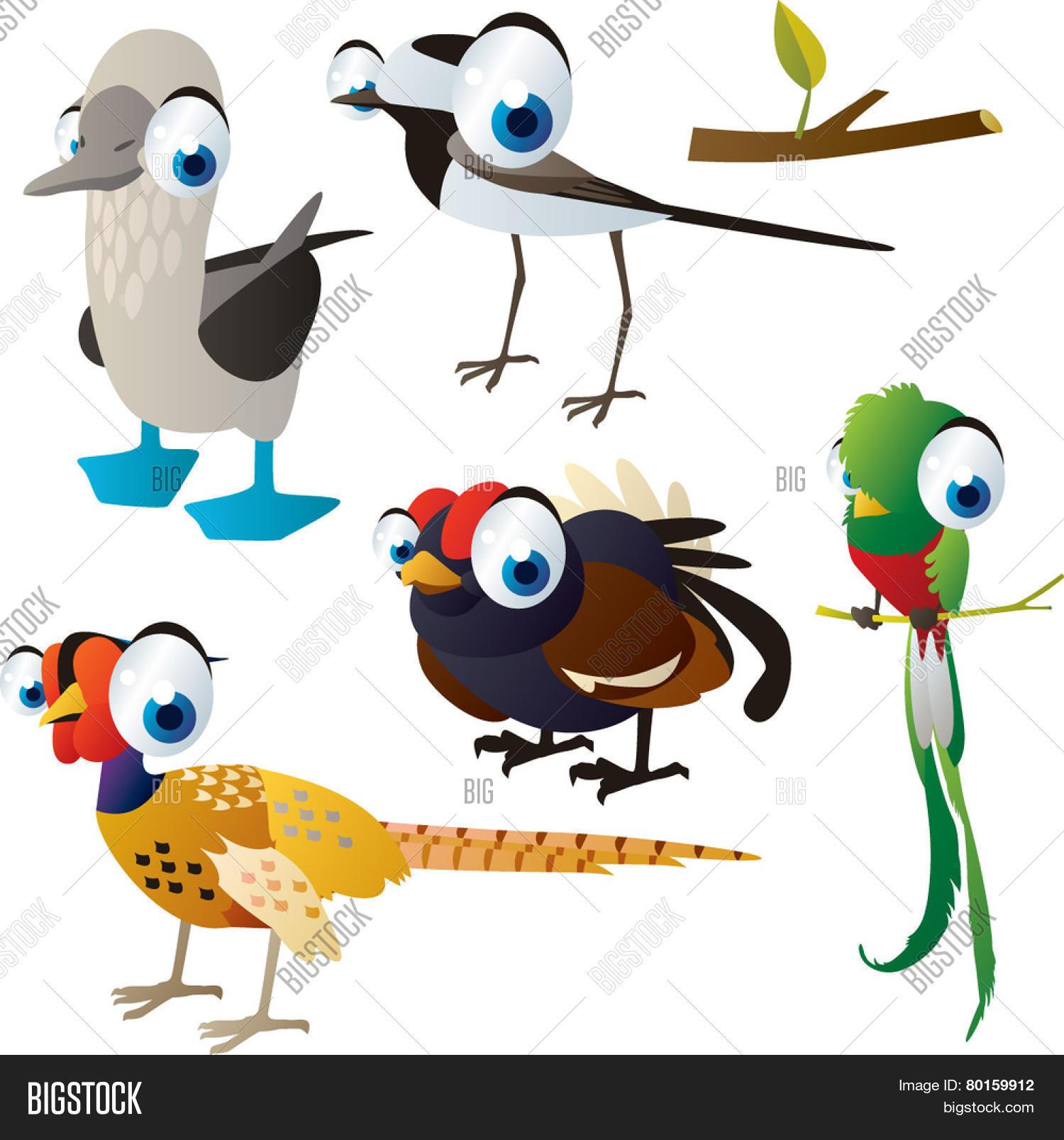 1500x1607 Vector Remoted Cartoon Cute Animals Set Birds Wildgrouse
