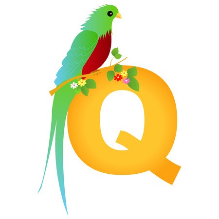 Quetzal Vector at Vectorified.com | Collection of Quetzal Vector free