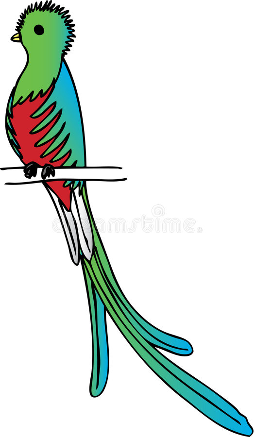 Quetzal Vector at Vectorified.com | Collection of Quetzal Vector free ...