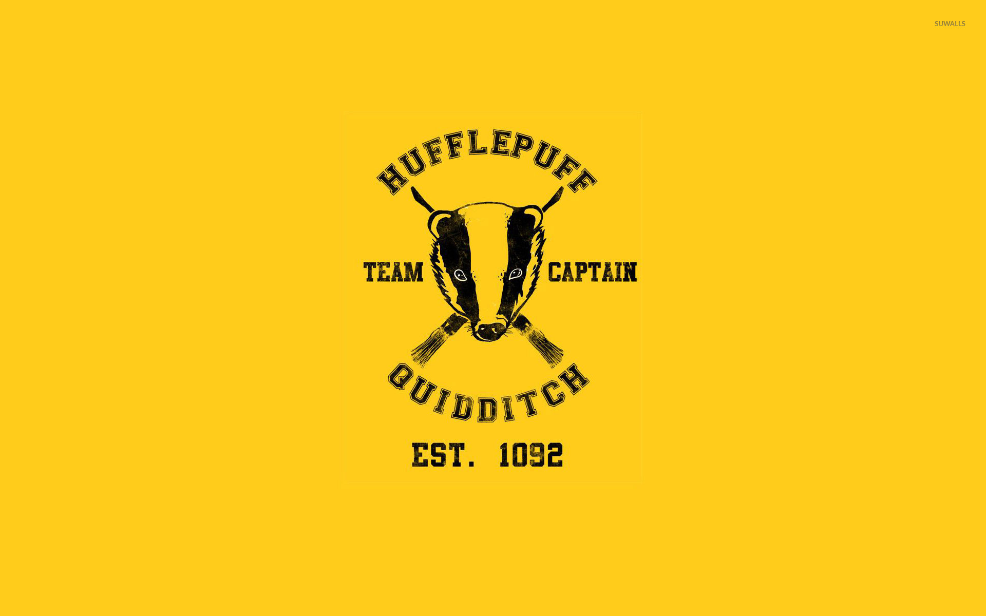 1920x1200 Hufflepuff Quidditch Team