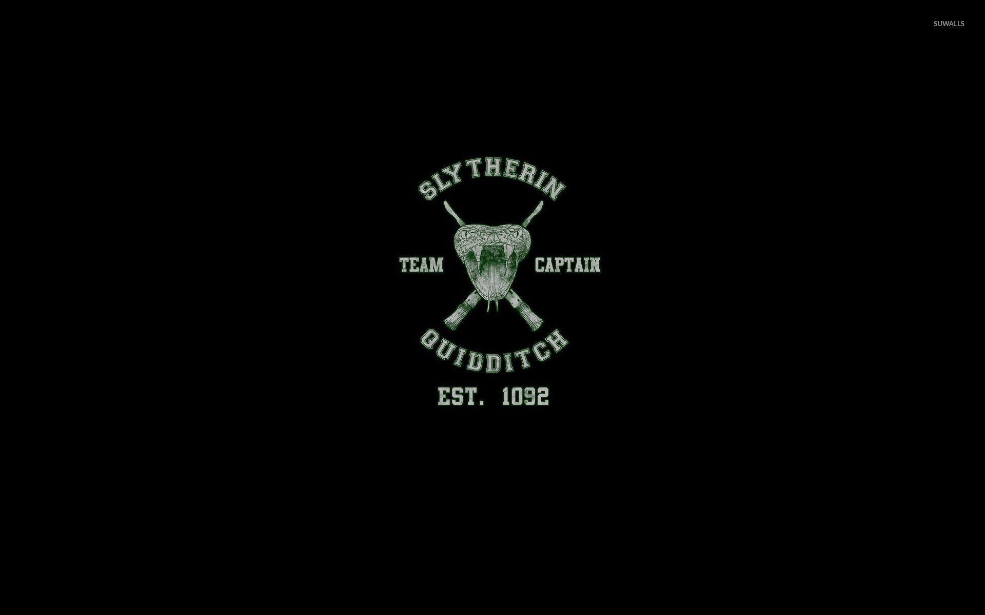 1920x1200 Slytherin Quidditch Team