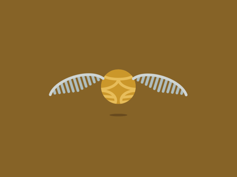 800x600 Snitch Animation