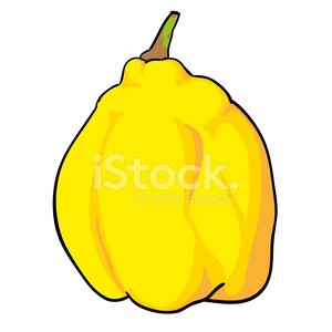 300x300 Quince Hand Drawn Fruits Isolated Vector Premium Clipart