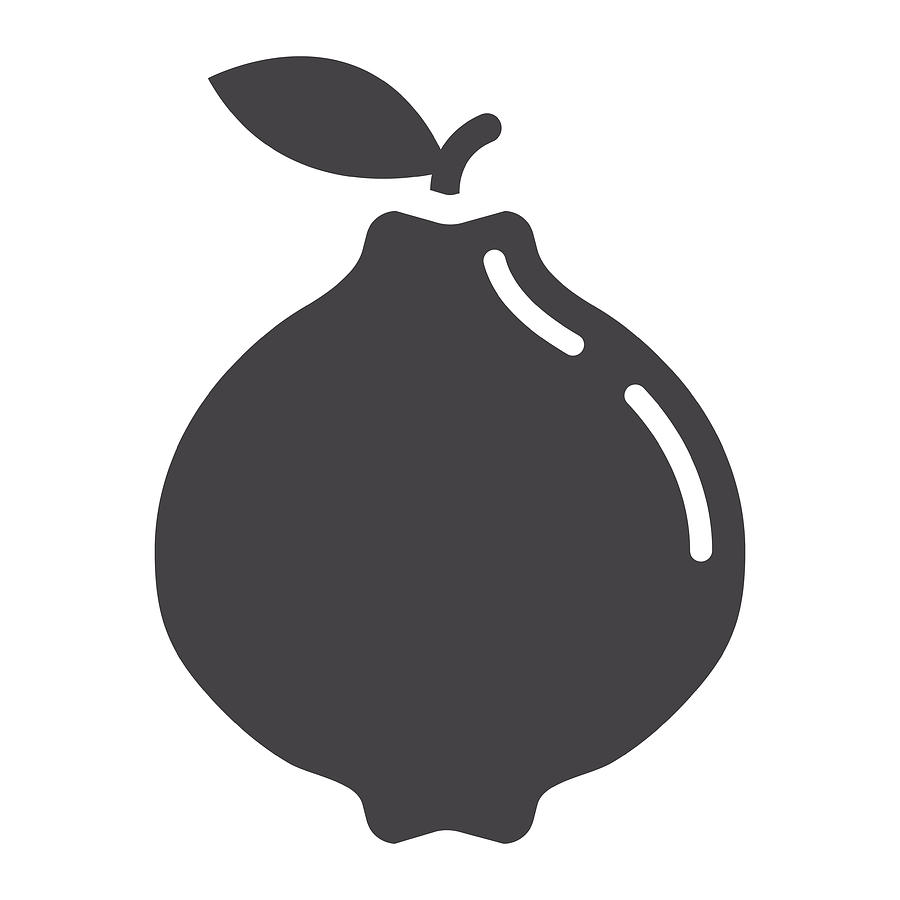 900x900 Quince Solid Icon, Fruit And Diet, Vector Graphics, A Glyph