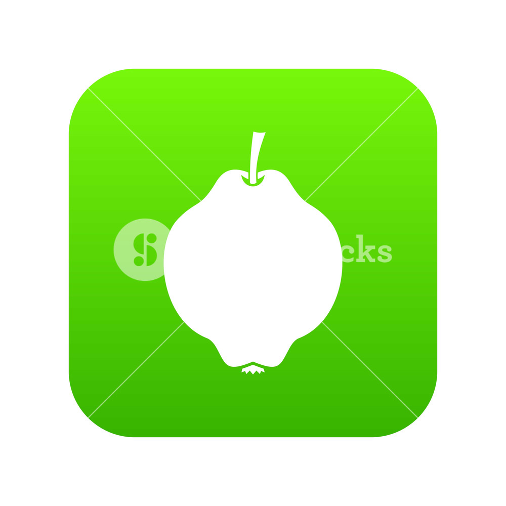 1000x1000 Quince Fruit Icon Digital Green For Any Design Isolated On White