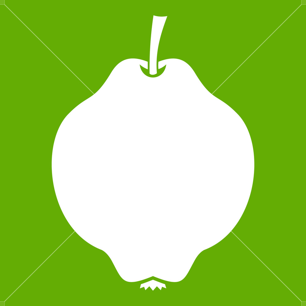 1000x1000 Quince Fruit Icon White Isolated On Green Background Vector